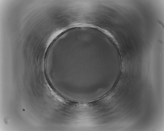 X0000102231231200808151721