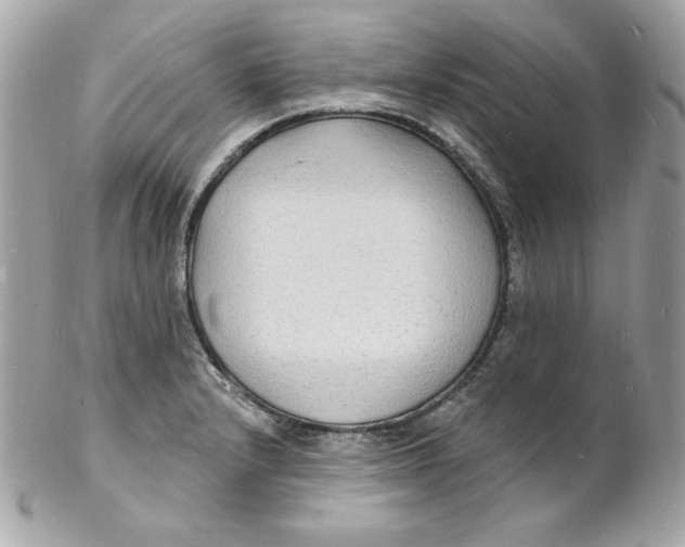 X0000102231232200808151721