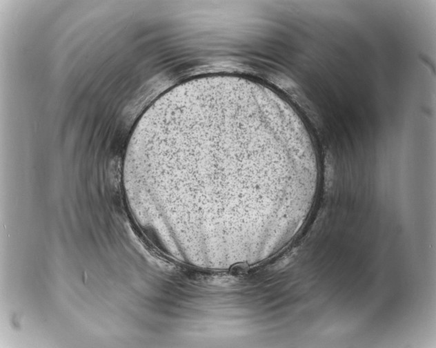 X0000102231233200808151721