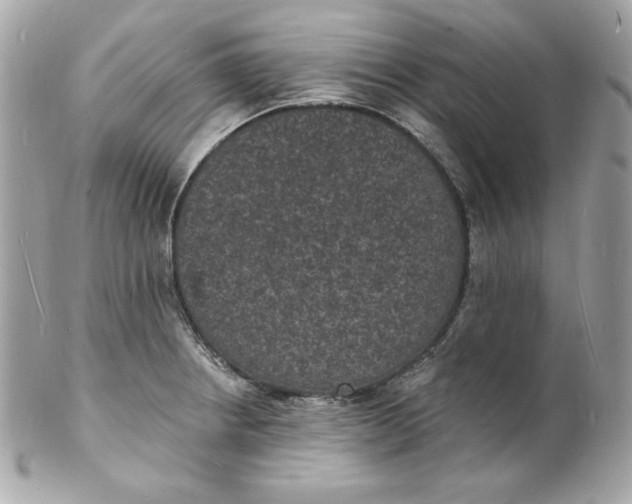 X0000102231234200808151721