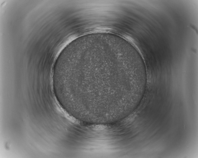 X0000102231235200808151721