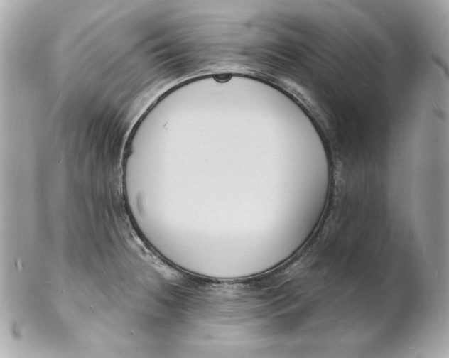 X0000102231236200808151721
