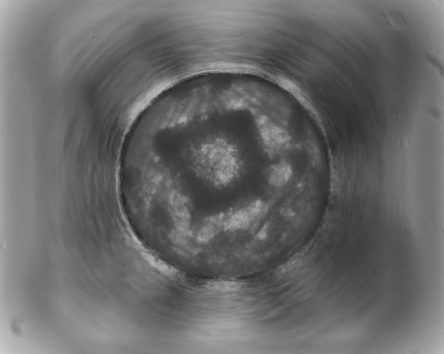 X0000102231237200808151721