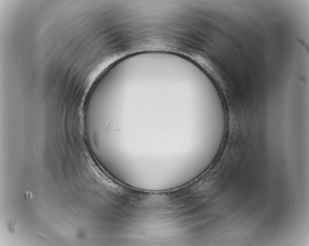 X0000102231238200808151721