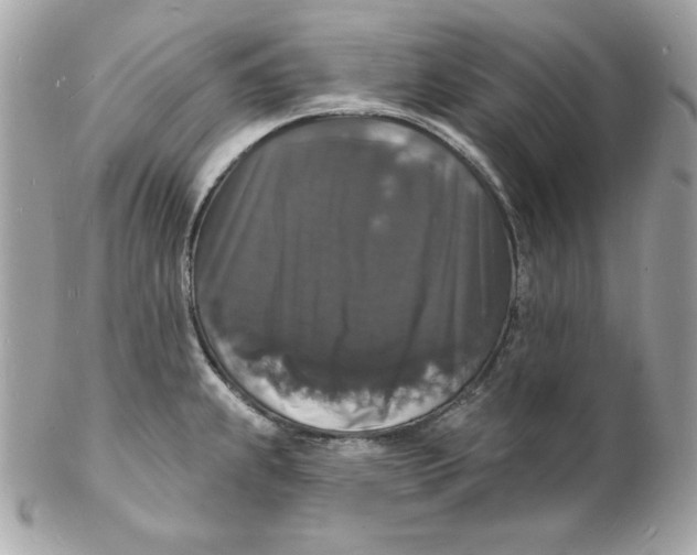 X0000102231239200808151721