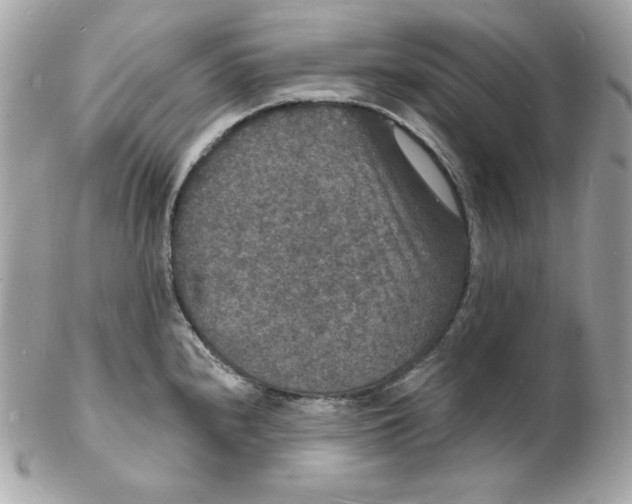 X0000102231240200808151721