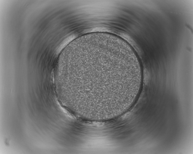 X0000102231241200808151721