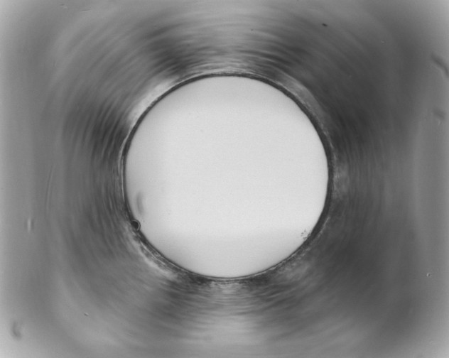 X0000102231242200808151721