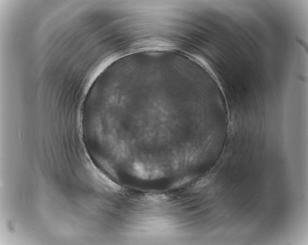 X0000102231243200808151721