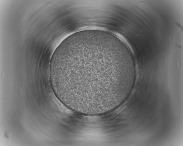 X0000102231244200808151721