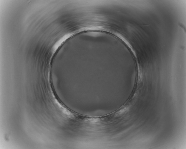 X0000102231245200808151721