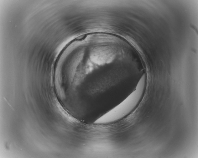 X0000102231246200808151721