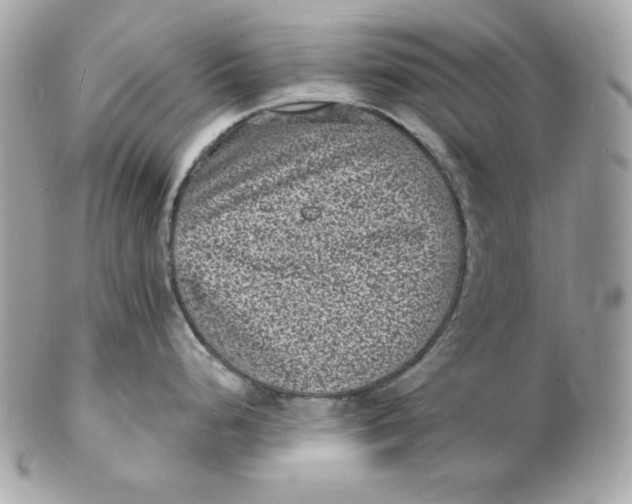 X0000102231248200808151721