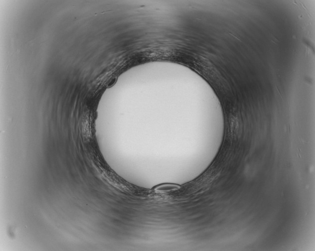 X0000102231250200808151721