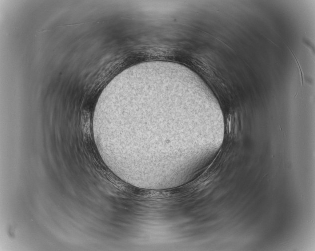 X0000102231251200808151721
