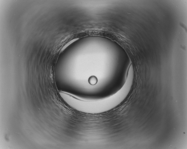 X0000102231252200808151721