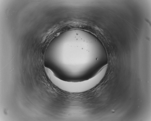 X0000102231253200808151721