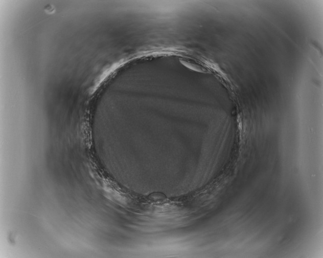 X0000102231256200808151721