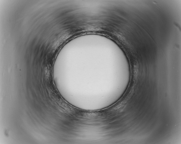 X0000102231257200808151721