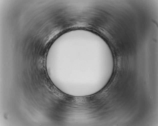 X0000102231258200808151721