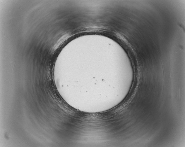 X0000102231259200808151721