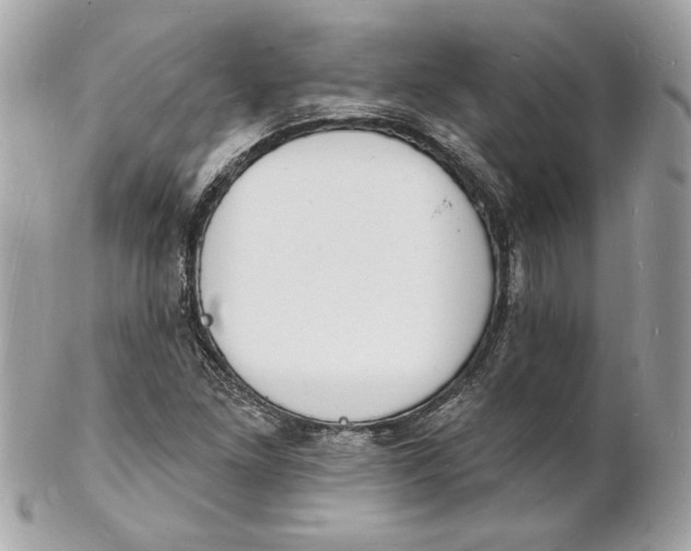 X0000102231261200808151721