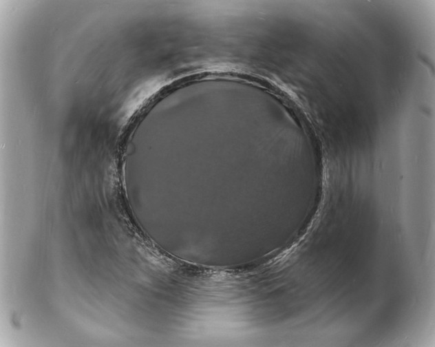 X0000102231263200808151721