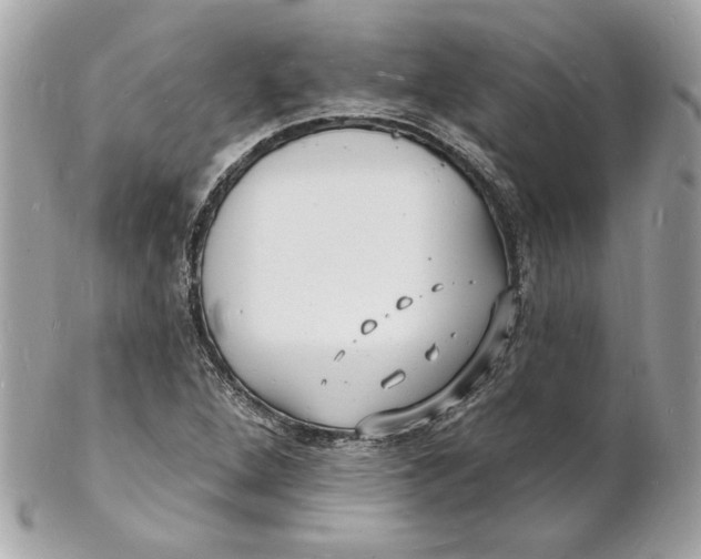 X0000102231264200808151721