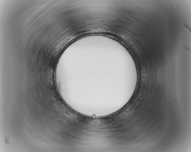 X0000102231265200808151721