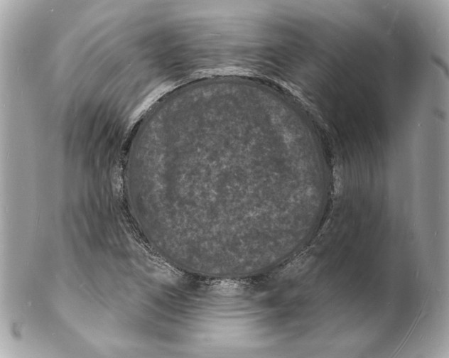 X0000102231266200808151721