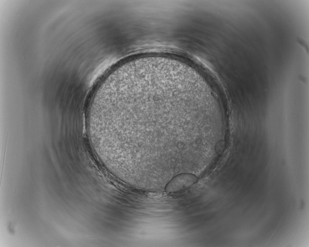 X0000102231267200808151721