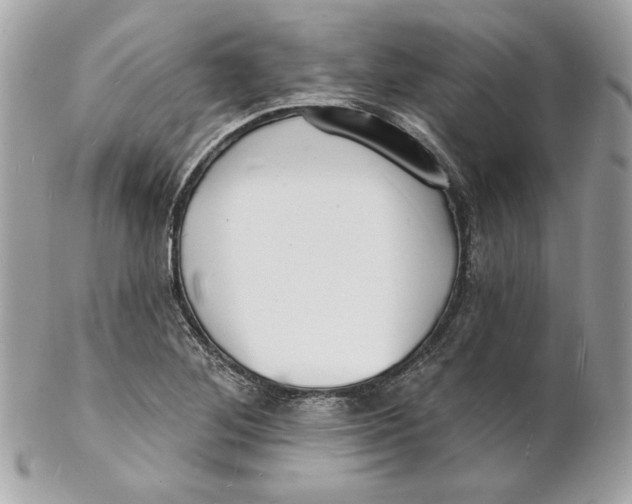 X0000102231268200808151720