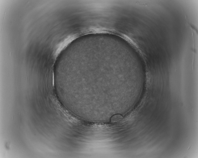 X0000102231269200808151720