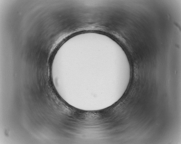 X0000102231270200808151720