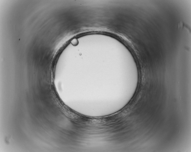 X0000102231271200808151720