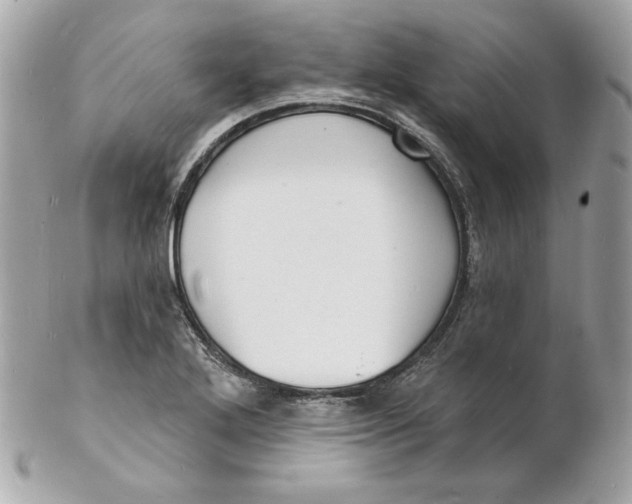 X0000102231272200808151720