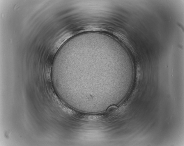 X0000102231273200808151720