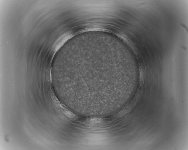 X0000102231274200808151720