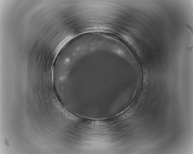 X0000102231275200808151720