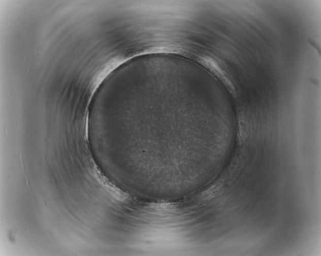 X0000102231276200808151720