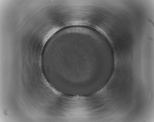 X0000102231277200808151720