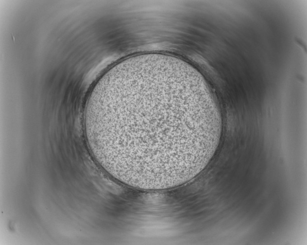 X0000102231278200808151720