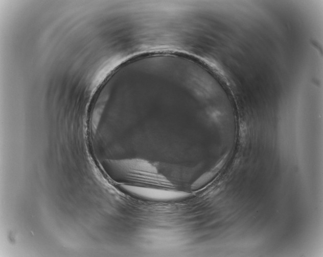 X0000102231279200808151720