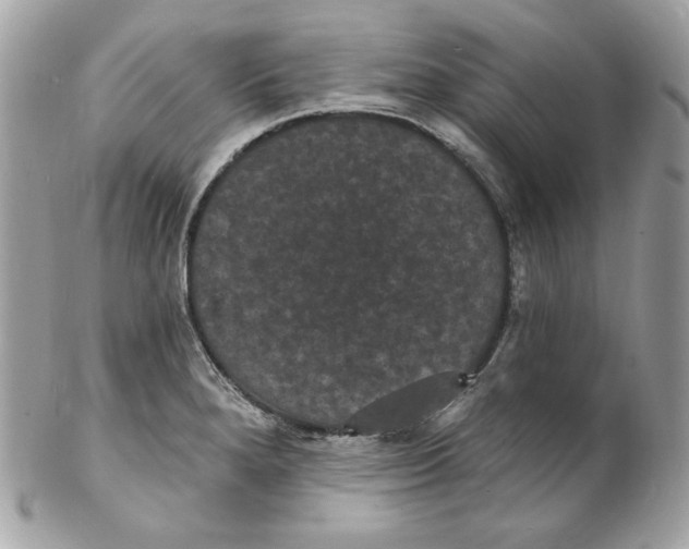 X0000102231280200808151720