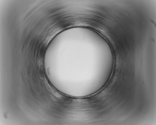 X0000102231281200808151720