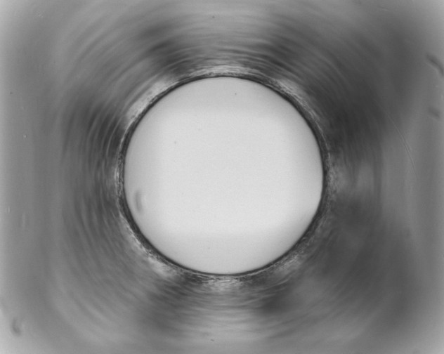 X0000102231282200808151720