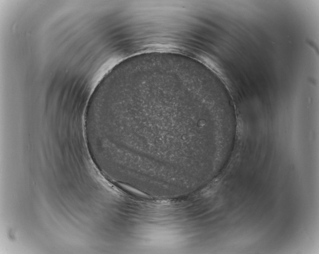 X0000102231283200808151720