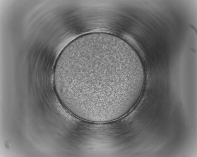 X0000102231284200808151720