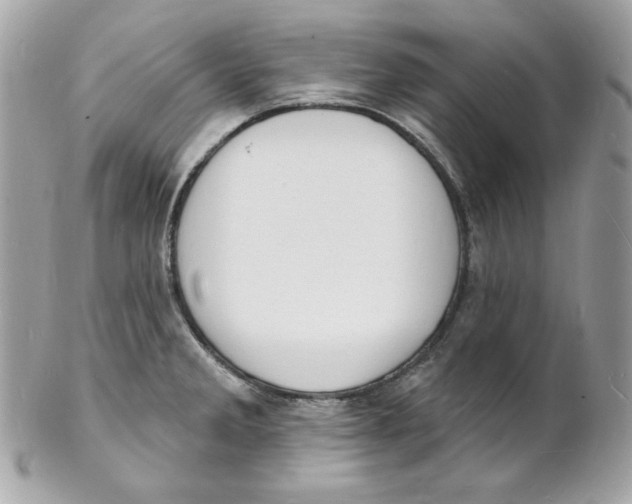 X0000102231285200808151720