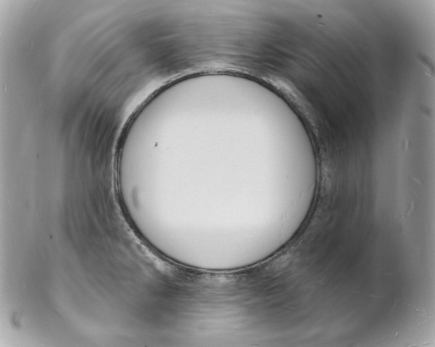 X0000102231286200808151720